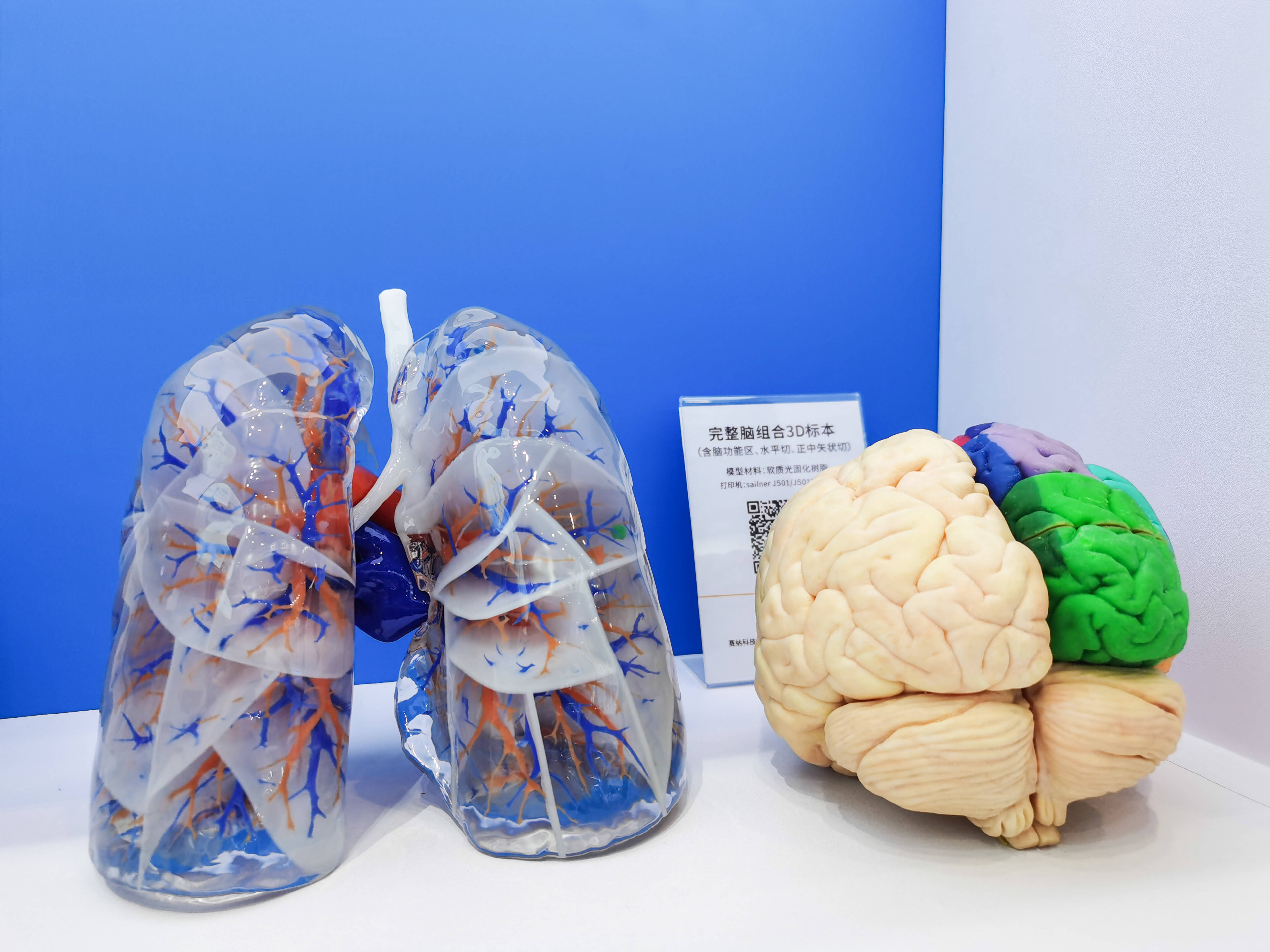 ‌0.1毫米误差+生物活性材料：3D打印正在重新定义医疗未来