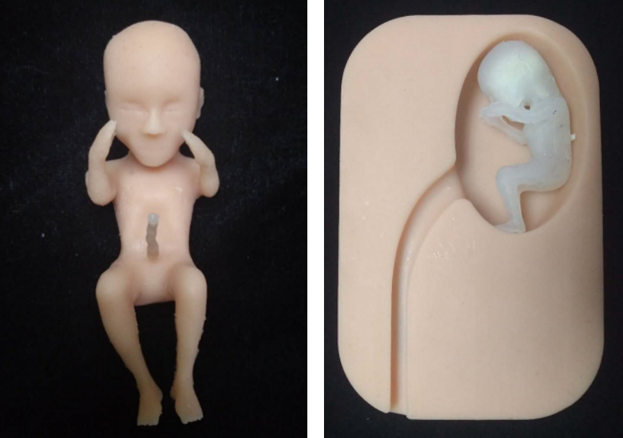 3D打印技术在胚胎学方向应用